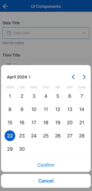 Date picker iOS